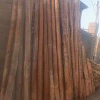 خریدار چوب خشک وتر