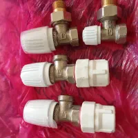 4عددشیرپگیچسالم