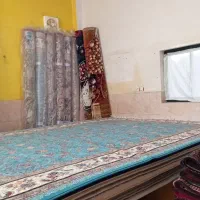 فرش نگین شاداب|فرش|آق قلا, |دیوار