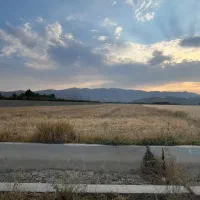 زمین-تلخسرو-250متری