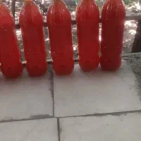 فروش آبغوره محلی