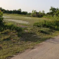 زمین کشاورزی سنتی و باغی بر آسفالت