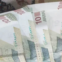 سرمایه گزار