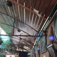 یک نفر شاگرد چایسرا قلیون زن.ساعت16الی24