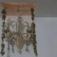 لوسترپنج شاخه