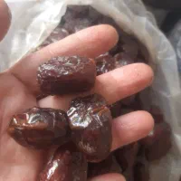خرما مرداسنگ آلوچه ای زاهدی کبکاب پیارم|خوردنی و آشامیدنی|یزد, |دیوار