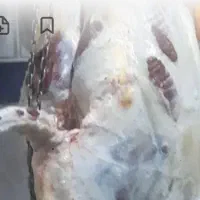 گوشت