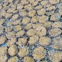 ترخینه خوش طعم و خوشمزه کارزان