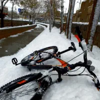 دوچرخه ویوا ۲۹