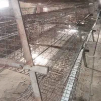 قفس مرغ تخمگذار