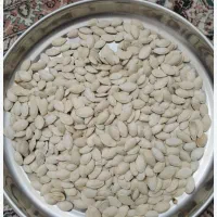 کدو آجیلی گوشی