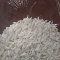 برنج درود به شرط