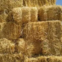 کاه و کولوش برای دام