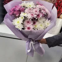 داوودی و بابونه بسته ای فقط ۱۰۰ تومن