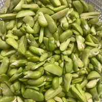 باقالی پاک شده