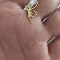 زنجیر گوشواره