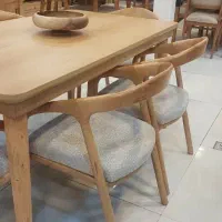 نیروی پلی استر کار