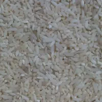 برنج لاشه اعلا درجه یک هاشمی بیشتر دونه سالم