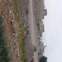 اجاره یک هکتار زمین کشاورزی واقع در شهرک انقلاب|اجارهٔ دفتر صنعتی، کشاورزی، تجاری|جیرفت, |دیوار