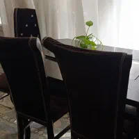 میز|میز و صندلی غذاخوری|بروجرد, |دیوار