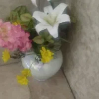 گل نونو|گل مصنوعی|بندر ماهشهر, |دیوار