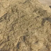 کاه کنجد درجه یک