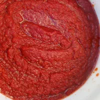 رب خانگی