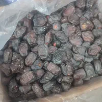 فروش عمده ی انواع خرمای مضافتی،زاهدی،ربی