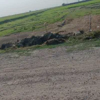زمین-فروشی