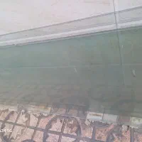 شیشه سکوریت