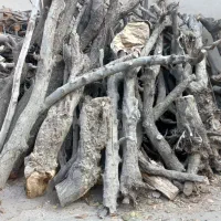 فروش چوب خشک