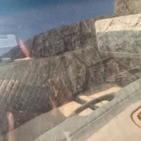 فولکس t2|خودرو کلاسیک|اصفهان, فجر|دیوار