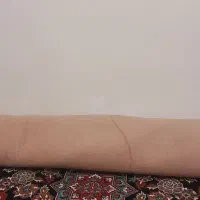 موکت|موکت|پیشوا, |دیوار