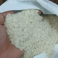 برنج|خوردنی و آشامیدنی|ساوه, |دیوار