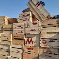 انگور سیاه دیم سردشت کردستان|خوردنی و آشامیدنی|مشهد, کوی دروی|دیوار