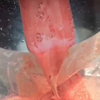 دستگاه آب گوجه گیری دستگاه آبلیمو و آبغوره گیری|فروشگاه و مغازه|شیراز, احمدی جنوبی|دیوار