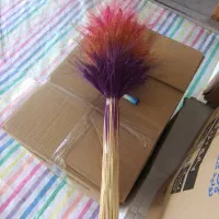 خوشه گندم|گل و گیاه طبیعی|رشت, ولکس|دیوار