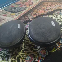 دو عدد باند پایونر6970درحدنو