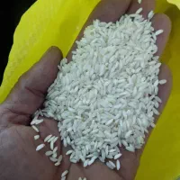 برنج عنبر بو|خوردنی و آشامیدنی|دزفول, |دیوار