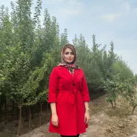 فروش نهال به در قزوین، قیمت ویژه امروز