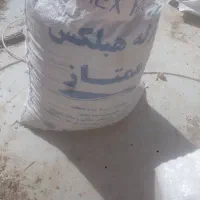 کودبلدرچین