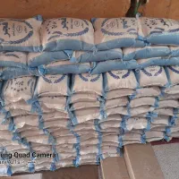 برنج فجر ممسنی بشرط پخت|خوردنی و آشامیدنی|شیراز, پانصد دستگاه ارتش|دیوار