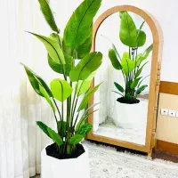 فروش انواع گل