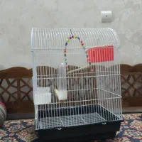قفس پرنده