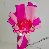 تک شاخه روز اول مدارس
