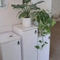 اتاق و سوئیت اجاره|اجارهٔ کوتاهمدت آپارتمان و سوئیت|بندر گناوه, |دیوار