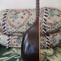 تنبور حرفه ای دومهر