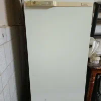 یخچال وفریزرسالم