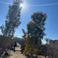 باغ-500متری-اب-برق-گاز