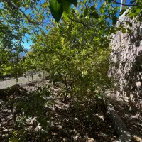 با-4-میلیارد-و-200-شهمیرزاد-باغ-بخرید